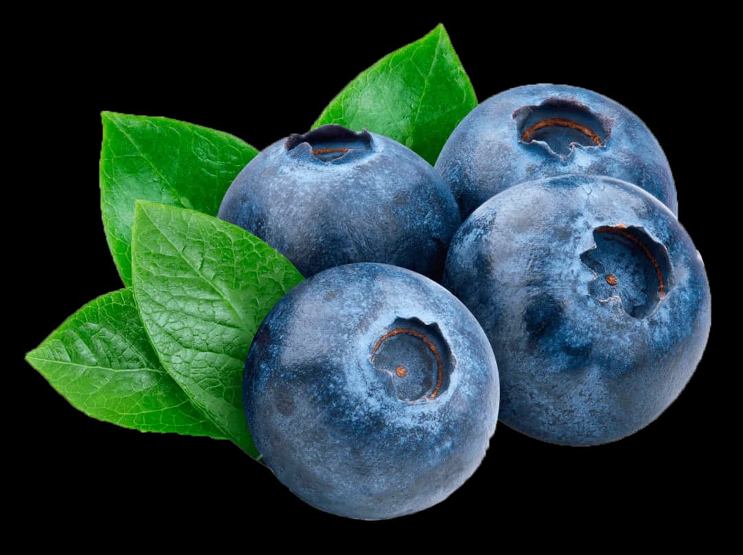 Image of BlueBerry