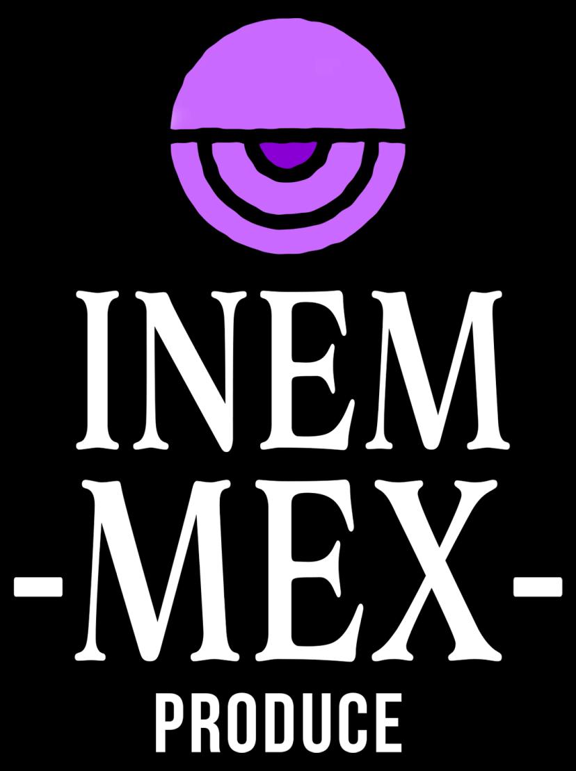 INEMMEX PRODUCE