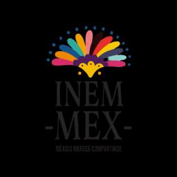 Logo de Inemmex Tiktok