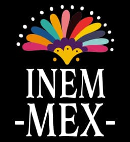 Inemmex Logo