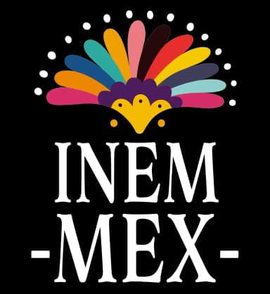 InemmexLogo