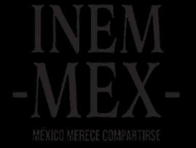 Logo Inemmex