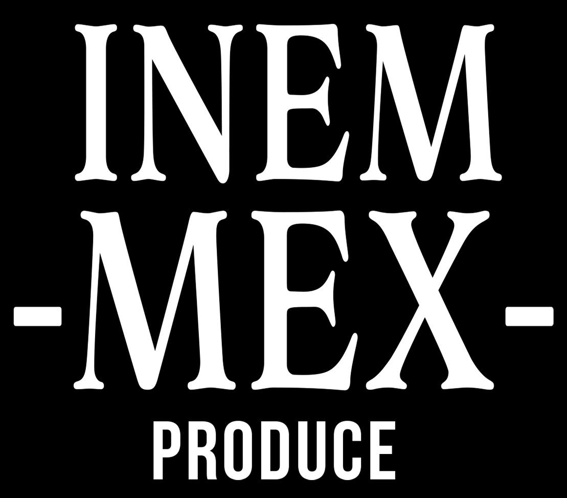 Logo of Inemmex
